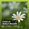 Download track Cognitive Functions