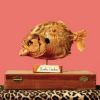 Download track My Little Life