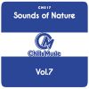 Download track Way To The Beginning (Original Mix)