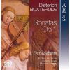 Download track 10. Sonata III In A Minor BuxWV 254 - III. Lento - Vivace - Largo