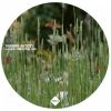 Download track Bullet Proof (Original Mix)
