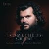 Download track Freiwilliges Versinken, D. 700