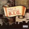 Download track Hypnotize