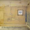 Download track My City Of Ruins