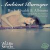 Download track Suite In D Minor, BWV 1008: I. Prélude (Arr. By Yuki Ato Narayan For Solo Recorder)