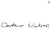 Download track Carolina