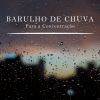 Download track Barulho De Chuva Para A Concentração, Pt. 22