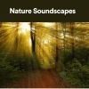 Download track Form Of Relaxation