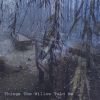 Download track Swamp Willow Serenade