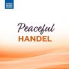 Download track Concerto Grosso In D Major, Op. 6, No. 5, Hwv 323 IV. Largo