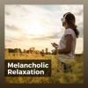 Download track So Long Explorer