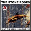 Download track What The World Is Waiting For