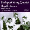 Download track String Quartet In D Major, Op. 18 No. 3: IV. Presto