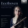 Download track National Folksongs With Variations, Op. 105 III. Air Autrichien In C Major. A Schusserl Und A Reindl. Andantino