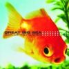Download track Clearest Indication