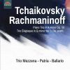 Download track Piano Trio In A Minor, Op. 50, TH 117- IIc. Var. 2