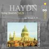 Download track String Quartet In B-Flat Major, Op. 71 No. 1, Hob. III: 69: II. Adagio