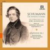 Download track 12. Symphony No. 1 In B-Flat Major, Op. 38 'Spring' - II. Larghetto (Live)