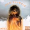 Download track First Snowfall