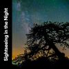 Download track Calm Nature Moments, Pt. 33