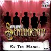 Download track Ramito De Violetas (En Vivo)