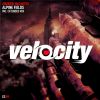 Download track Alpine Fields (Radio Edit)