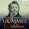 Download track Mandolin Concerto In G Major, S. 28: I. Allegro Moderato E Grazioso