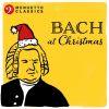 Download track Magnificat, BWV 243 X. Suscepit Israel