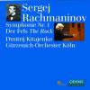 Download track Symphony No. 1 In D Minor, Op. 13 - II. Allegro Animato