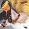 Download track All Is Not Lost (Jilk Hazed And Confused Mix)