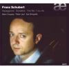 Download track 04. Sonatina No. 1 In D Major D. 384: Allegro Molto