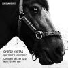Download track 25. Part 3 - 5. Elendes Leben