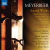 Download track Gott Und Die Natur: No. 7, Es Geht Aus Seinem Strahlentor (Arr. D. Salvi For Voice, Strings & Piano)