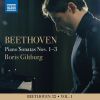 Download track 11. Piano Sonata No. 3 In C Major, Op. 2 No. 3 III. Scherzo. Allegro