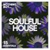 Download track Can't Let A Day Go By (Soul Heads Extended Instrumental)