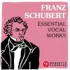 Download track Nachthelle, D. 892