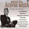Download track Tu Solo Tú
