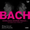 Download track 02. Bach Sonata In B Minor, BWV 1014 II. Allegro