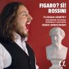 Download track L'italiana In Algeri- Overture