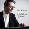 Download track Sonata In B Major, Op. Post. 147, D. 575: IV. Allegro Giusto