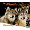 Download track Honky Tonk Hero'S