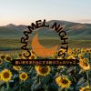 Download track Sunlit Oasis