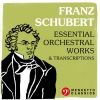 Download track Overture In The Italian Style In C Major, D. 591