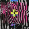Download track This Beat Is Technotronic