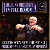 Download track Symphony No. 1 In D, Op. 25 Classical Symphony 2. Larghetto V