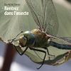 Download track Scrotum Variation