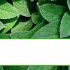 Download track Background For Recharging Routines