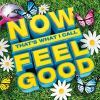 Download track Firework