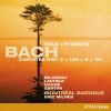 Download track Leichtgesinnte Flattergeister, BWV 181 Aria Der Schadlichen Dornen Unendliche Zahl (Tenor)