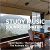 Download track Relaxing Piano Study Music (Bird Sound Ver.)